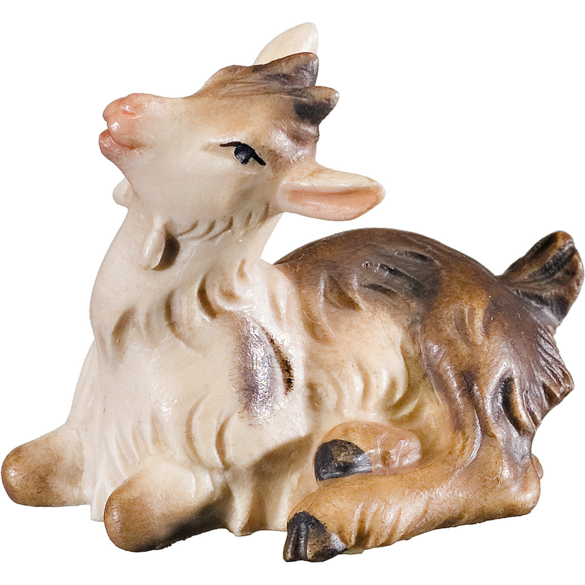 Cabrito acostado